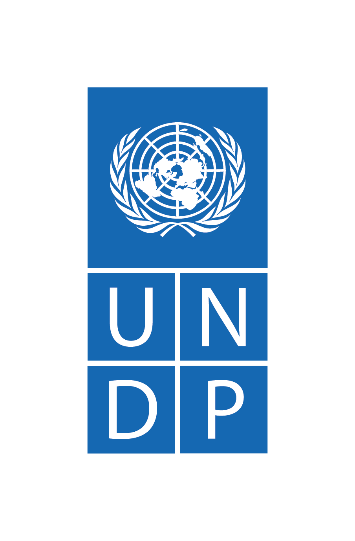 UNDP